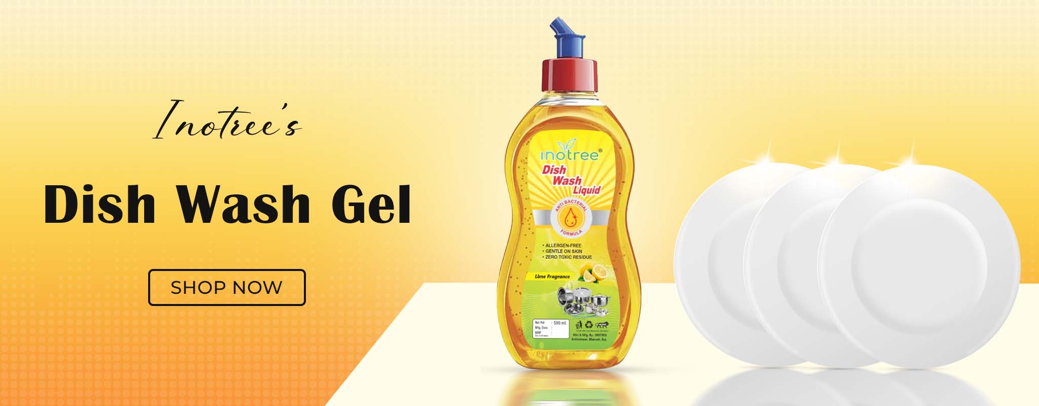 blansia-holi-banner